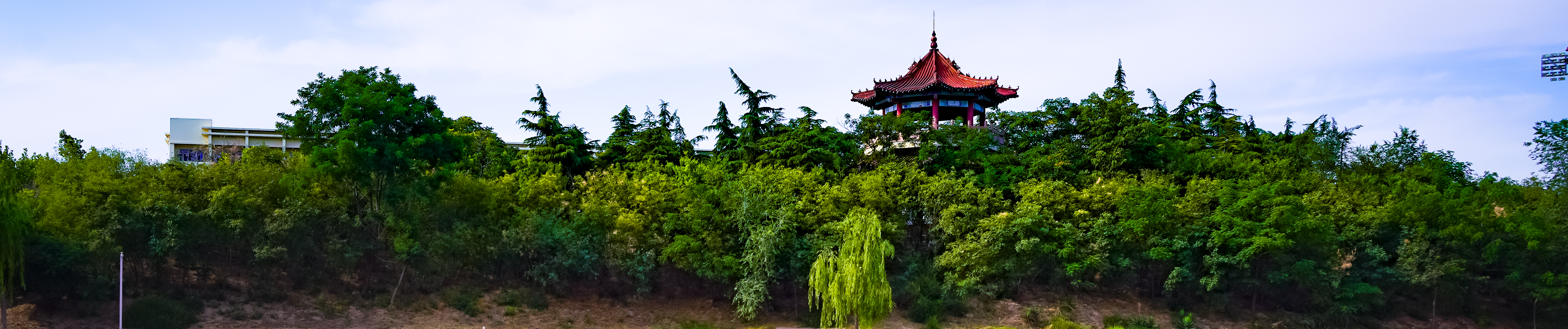 背景图
